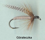 Mokra muszka ze skrzydełkami typu DRAKE - # 8;10;12 - kpl. 8 szt.