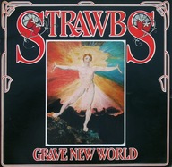 Strawbs – Grave New World A&M Records – AMLH 68078