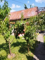 Dom, Kraków, Nowa Huta, 250 m²