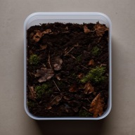 Substrat typu leśnego 5l – mocno próchniczne dla isopodów i równonogów