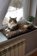 Parapetnik poducha legowisko dla kota, kotka, małego psa, pieska 60x28 cm