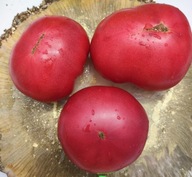 Pomidor Mortgage Lifer Pink (125) nasiona kolekcjonerskie