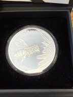 20 zł Pszczoła Miodna mennicza pudełko NBP