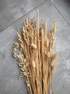 Trawy zboża naturalna susz zestaw naturalnych suszonych traw bukiet