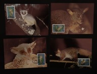 Tanzania 1989, WWF: Galago. ssaki Karty maksimum
