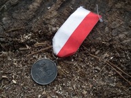 Odznaka pułkowa Medal Konstytucji 3 Maja 1925