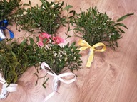 Bożonarodzeniowa Jemioła – Świeża i Pachnąca Wiązka – Tradycja Świąt