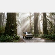 Las puszcza ulica mgła samochód obraz na płótnie 55x100 promienie słońca