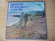Spacer brzegiem morza