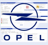 OPEL VIN Sprawdzenie Historia Serwisowa Raport ASO