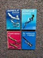 4x IMPRESJE LOTNICZE ATAKUJĘ TARANEM W OGNIU NA RAJDOWYCH SZLAK /LOTNICTWO