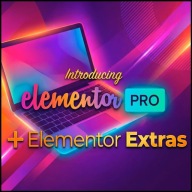 ELEMENTOR Pro WORDPRESS + Wtyczka Extras, Bonus / Aktualizacje