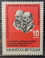 Mongolia luzak czysty **