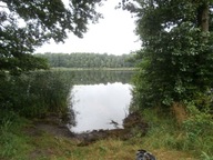 Działka, Włodawa, Włodawski, 20000 m²