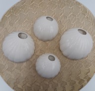 4 wazony z porcelany muszle do zawieszenia na ścianie do wietrznych roślin