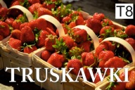 BANER SPRZEDAŻ TRUSKAWKI TRUSKAWKA 100x50 T8