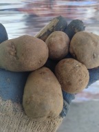 Ziemniaki Truflowe, Fioletowe - 5 kg drobne jak Sadeniak