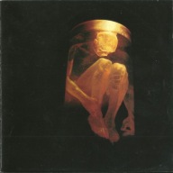 Alice In Chains – Nothing Safe CD
