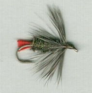 Mokra muszka GRAY HACKLE PEACOCK - # 10; 12; 14