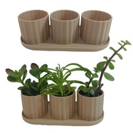 Zestaw 3 szt doniczki/osłonka z podstawką beżowy/jasny dąb