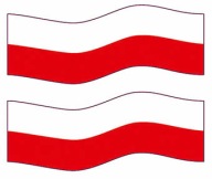 POLSKA _ FLAGA _ NAKLEJKI _ 10cm