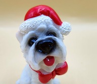 MALTAŃCZYK PRZEŚLICZNY PIES uroczy PSIACZEK :)