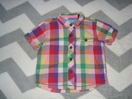 next koszula lato krateczka modny chłopczyk 74