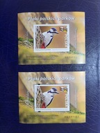 Nowodruki 2024 Fi. 5366 AB ND ** Dzięcioł A+B