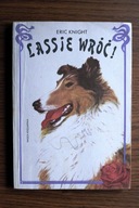 Lassie wróć! , Knight