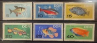 DDR mi. 1221-1224 rok emisji 1966 czyste