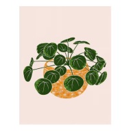 Plakat „Pilea Plant” – Minimalistyczny Plakat Botaniczny