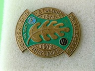 Stara Odznaka Emalia-STULECIE TURYSTYKI 1873-1973- VI GÓRSKI RAJD NA RATY-E