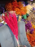 Trawa leśna trzcina naturalna zboże kłosy susz czerwona a na palmy 30szt