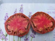 Pomidor Carol Chyko’s Big Paste Black nasiona kolekcjonerskie