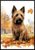 A2 59,4x42 PLAKAT OBRAZ PIES TERIER AUSTRALISJKI TERRIER JESIEŃ AKWARELA