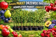 PAKIET 6 Drzewek Owocowych + GRATIS Gotowy Kompletny Zestaw do Ogrodu