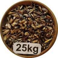 Owies Czarny Gnieciony, Płatki z Owsa Czarnego 25kg, 2025r