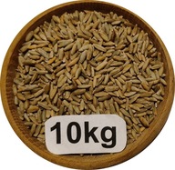 Żyto Ozime Konsumpcyjne/Paszowe 10kg, 2025r