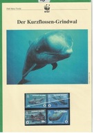 10-WS06- Kajmany, WWF, Walenie,Orki