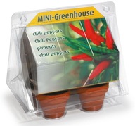 ZESTAW DO UPRAWY PAPRYCZEK CHILI W MINI SZKLARENCE + GRATISY