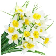 Sztuczne Kwiaty Wiosenne Żonkile Bukiet Żonkili Gałązki Sztuczna Trawa