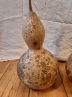 Tykwa Owoc Zdrewniały