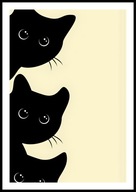 A2 ŚMIESZNY PLAKAT Z KOTEM, PLAKAT Z KOTAMI, KOT TRZY CZARNE KOTY, HUMOR