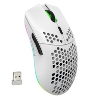 Myszka 2.4G USB do Komputera Bezprzewodowa Przewiewna HXSJ T66 z RGB Biała