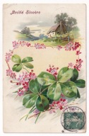 Chata droga koniczyna kwiaty 1907r. LITOGRAFIA Tłoczona a341