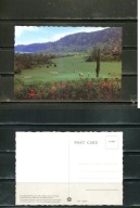 K18183)Bali: Pancasari Golfplatz