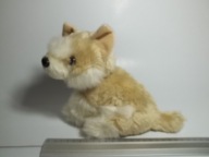 MASKOTKA PIES 18X22X15CM AKITA DOG 03