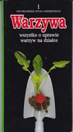 warzywa wszystko prawie o uprawie warzyw