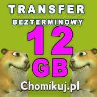 TRANSFER CHOMIKUJ 12 GB - BEZTERMINOWO