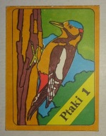 KOLOROWANKA Z PRL - PTAKI 1 - PRODRYN BĘDZIN